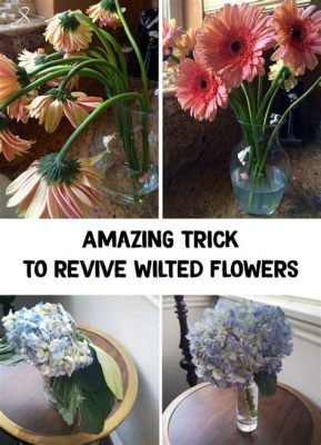 How to Revive Wilting Flowers: A Symphony of Sunlight and Moonbeams