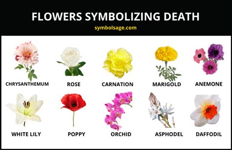 What Flowers Mean Death: A Journey Through Symbolism and Superstition